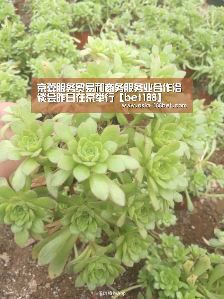 京冀服务贸易和商务服务业合作洽谈会昨日在京举行【bet188】(图1) 金宝博官网