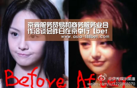 京冀服务贸易和商务服务业合作洽谈会昨日在京举行【bet188】(图2) 金宝博188