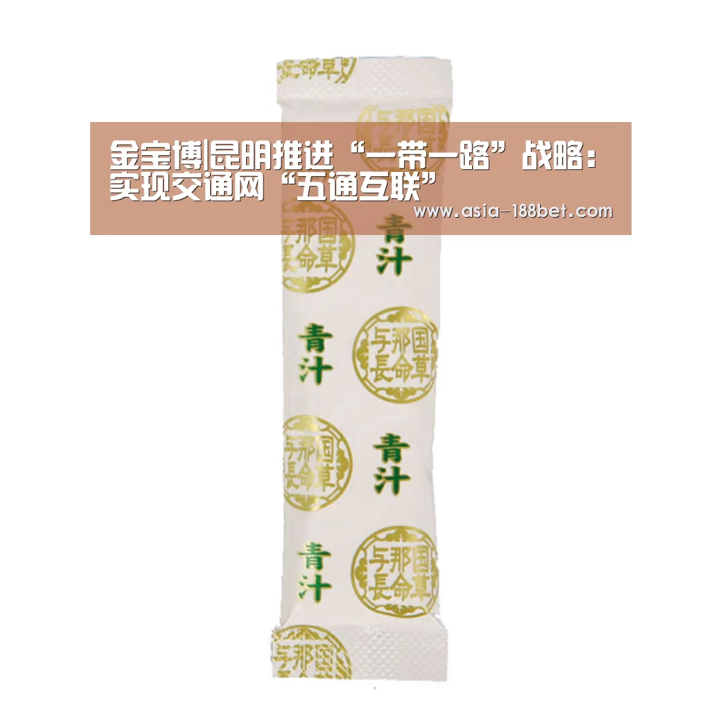 金宝博|昆明推进“一带一路”战略:实现交通网“五通互联”(图4) 金宝博官网