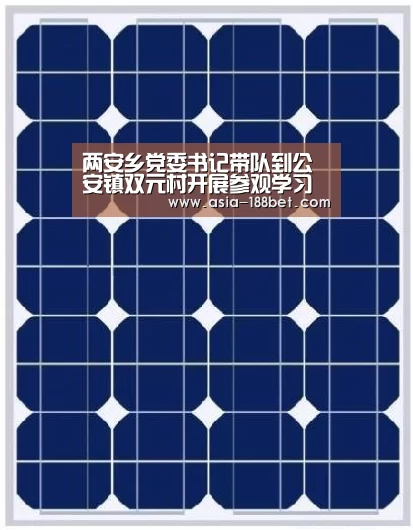 两安乡党委书记带队到公安镇双元村开展参观学习活动‘金宝博’(图2) 两安乡党委书记带队到公安镇双元村开展参观学习活动‘金宝博’(图2)