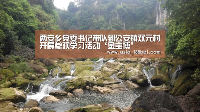 两安乡党委书记带队到公安镇双元村开展参观学习活动‘金宝博’(图1) 两安乡党委书记带队到公安镇双元村开展参观学习活动‘金宝博’(图1)