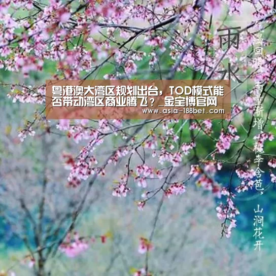 粤港澳大湾区规划出台,TOD模式能否带动湾区商业腾飞?_金宝博官网(图2) 粤港澳大湾区规划出台,TOD模式能否带动湾区商业腾飞?_金宝博官网(图2)
